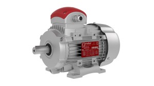 Delfire_90L_vista_3D_senza_ombre